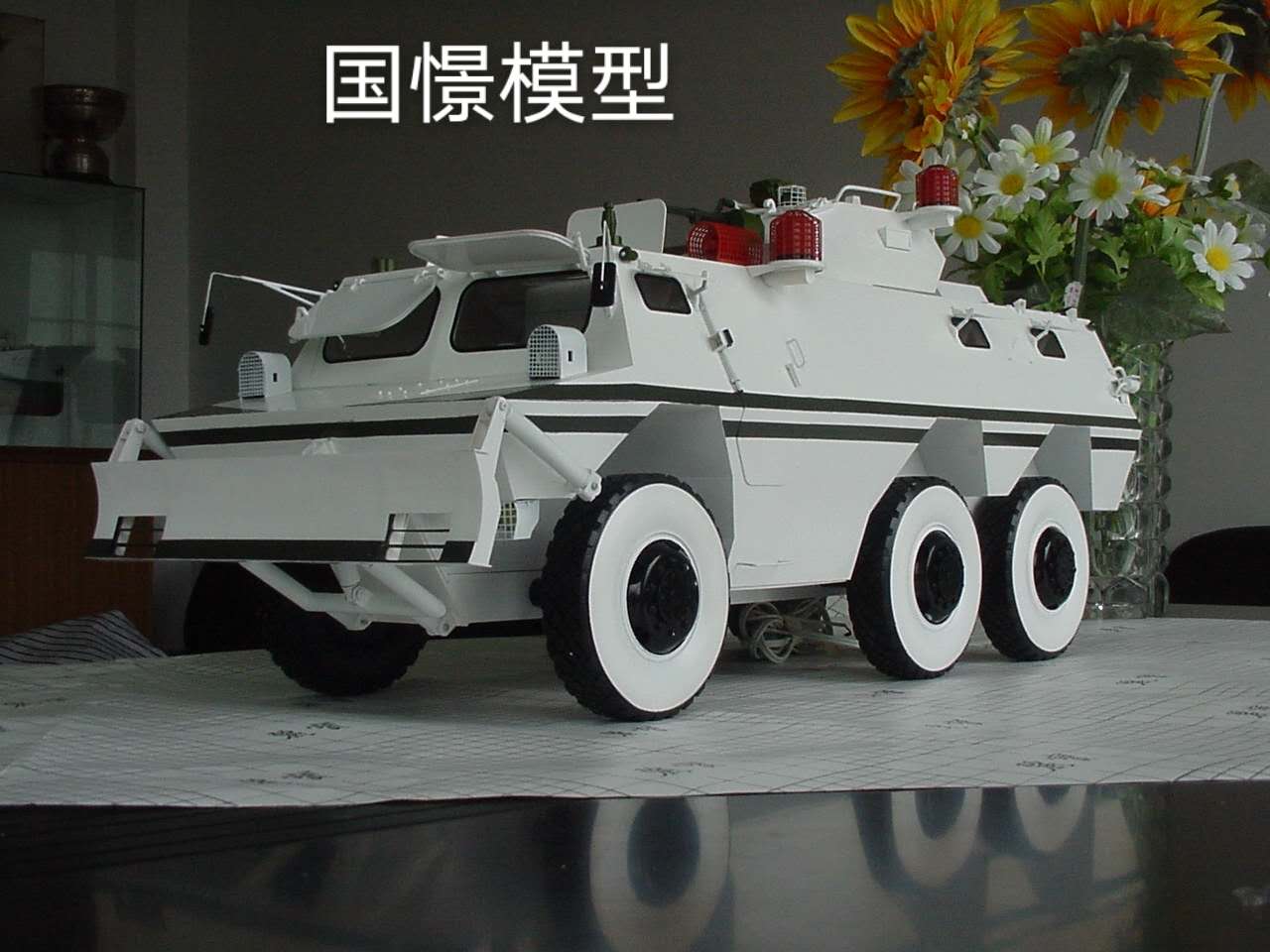 镇远县军事模型