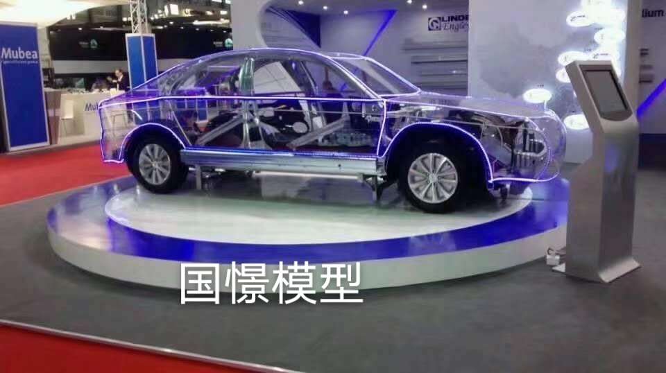 镇远县透明车模型